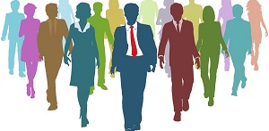 Consultancy Team