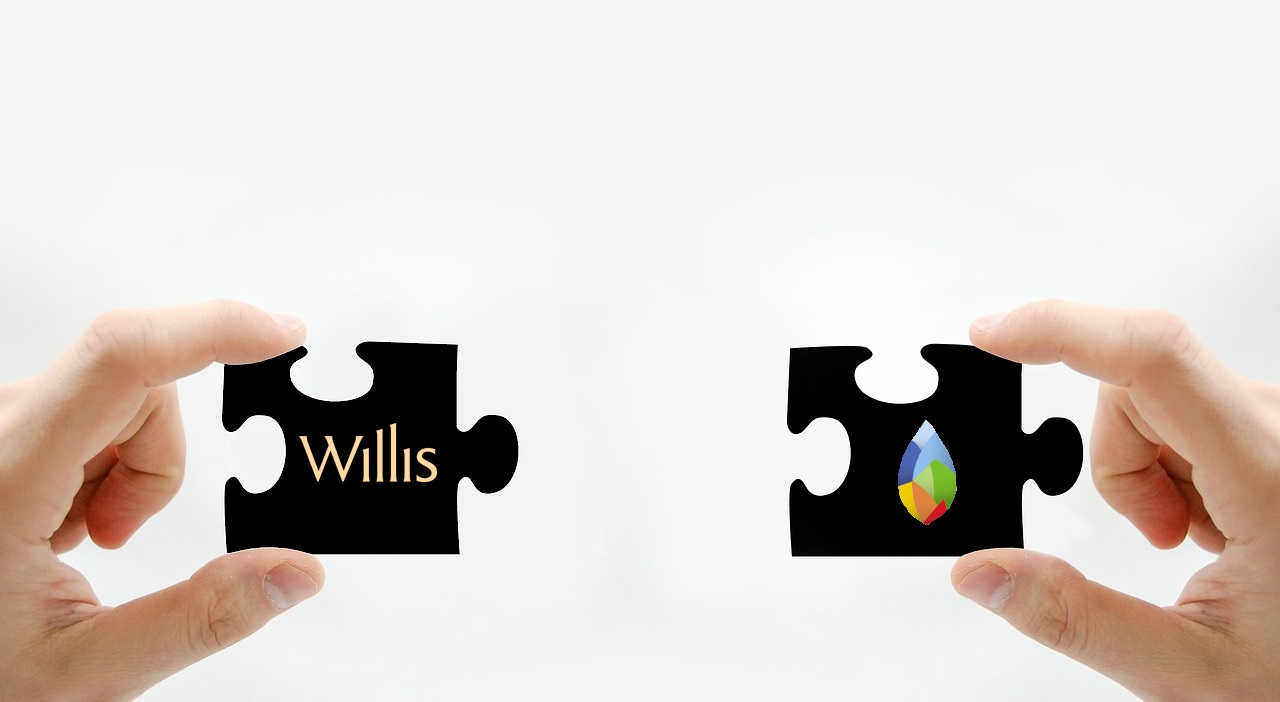 Willis Risk Management Partnership