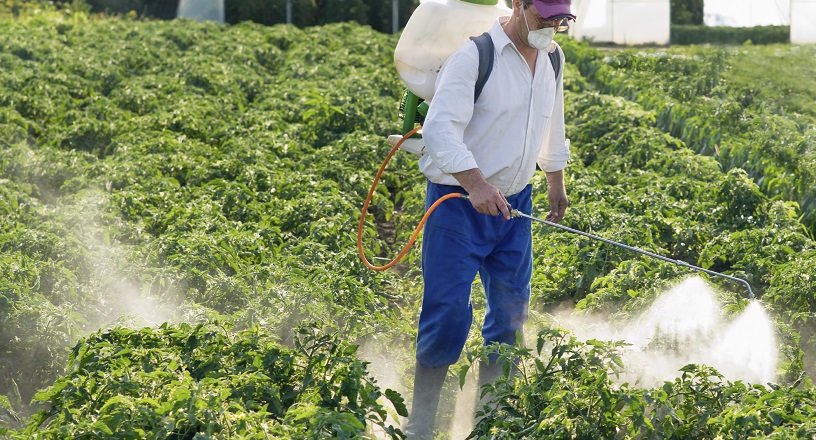 Hand Held Pesticide Application