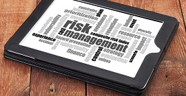 Chris Mee Group Risk Assessment
