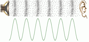 CMSE Consultancy - Noise Survey